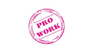 Pro Work (Nederland)