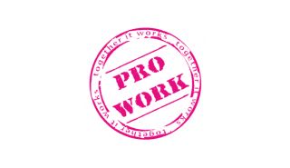 Pro Work  (The Netherlands)